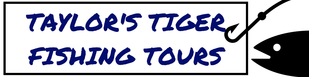 Taylor's Tiger Fishing Tours